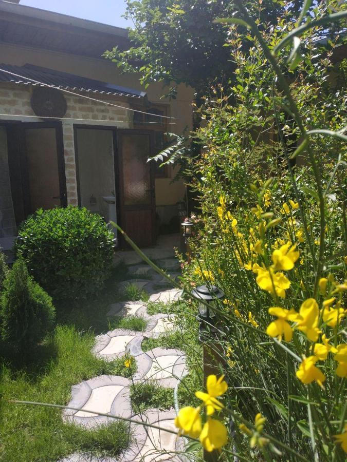 Sim Sim Hostel & Guest House Near The Church Σαμαρκάνδη Εξωτερικό φωτογραφία
