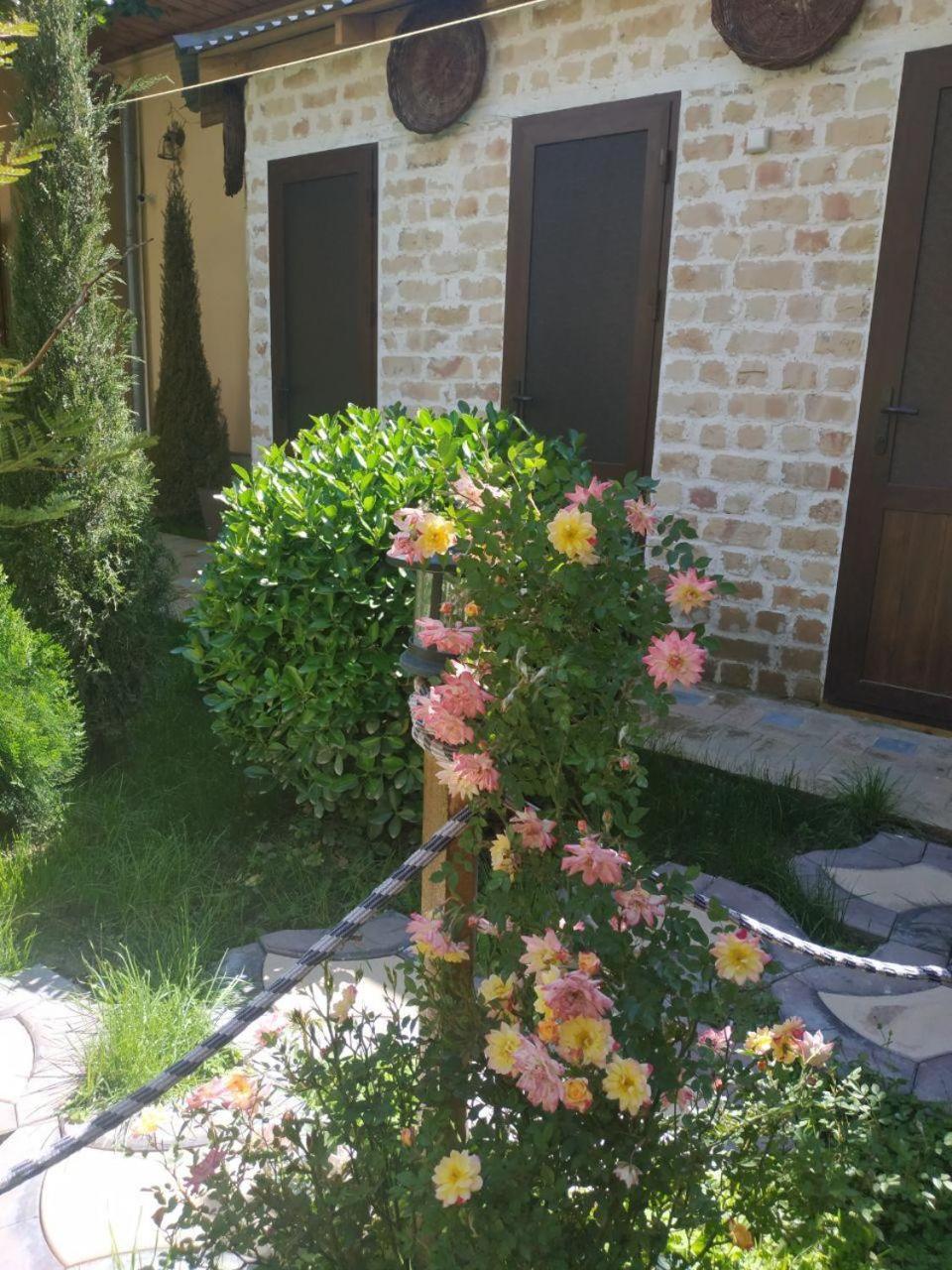 Hostel & Guest House Sim Sim Near The Church Σαμαρκάνδη Εξωτερικό φωτογραφία
