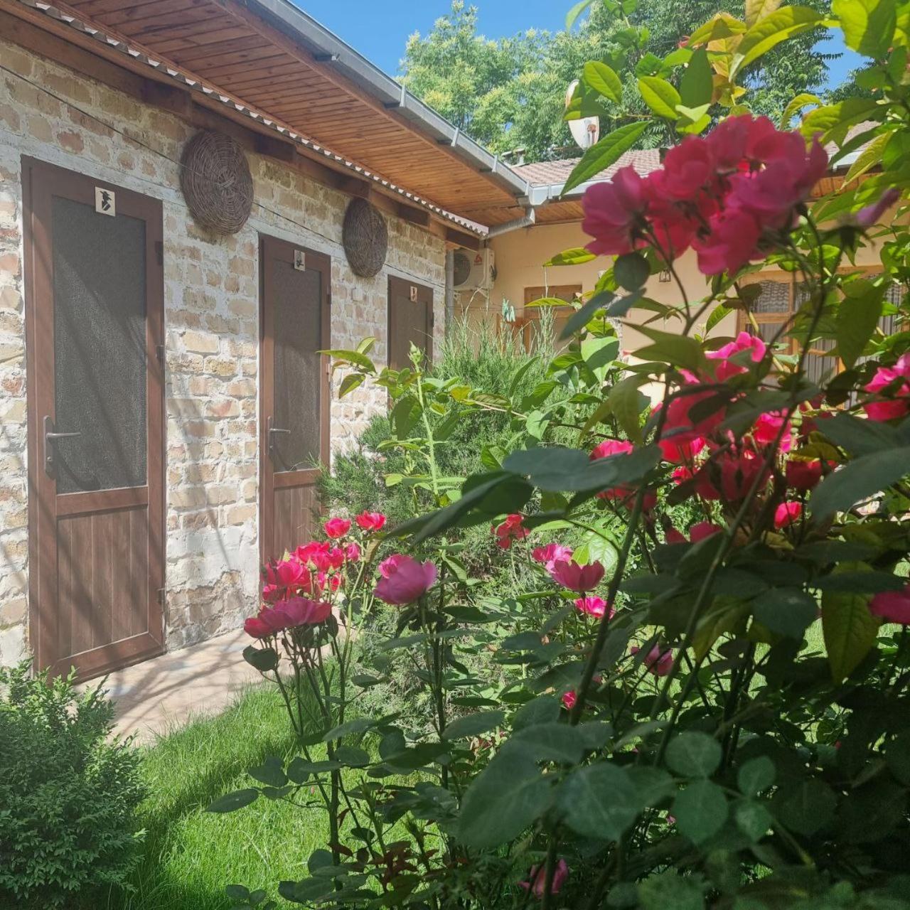 Sim Sim Hostel & Guest House Near The Church Σαμαρκάνδη Εξωτερικό φωτογραφία